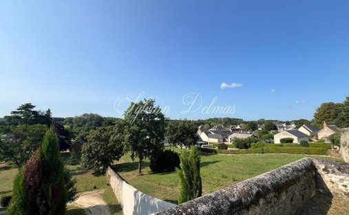 Castle for Sale in Amboise, Centre-Val de Loire, France