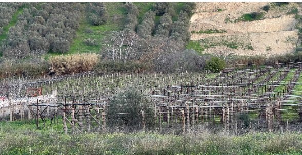 Terreno a 2nd Community of Heraklion - Eastern, Heraklion, Grecia 4 - 16825419
