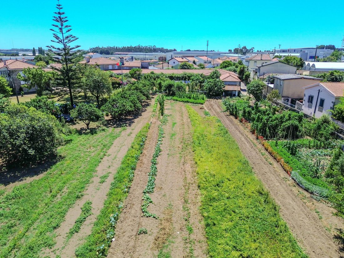 Farm Ranch in Moreira, Porto District, Portugal 5 - 15934895
