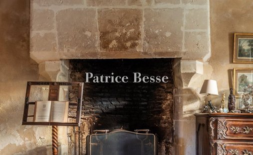 Castle for Sale in Tours, Centre-Val de Loire, France