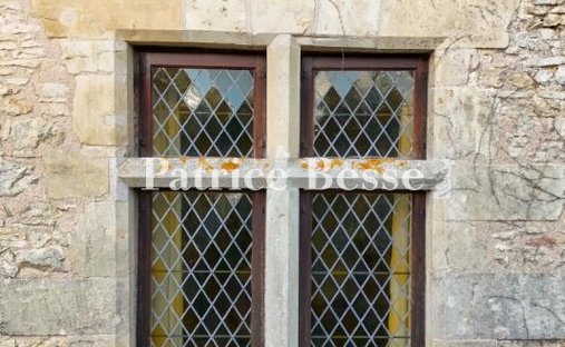 Castle for Sale in Tours, Centre-Val de Loire, France