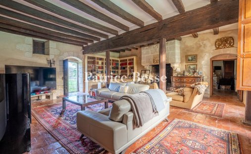 Castle for Sale in Tours, Centre-Val de Loire, France