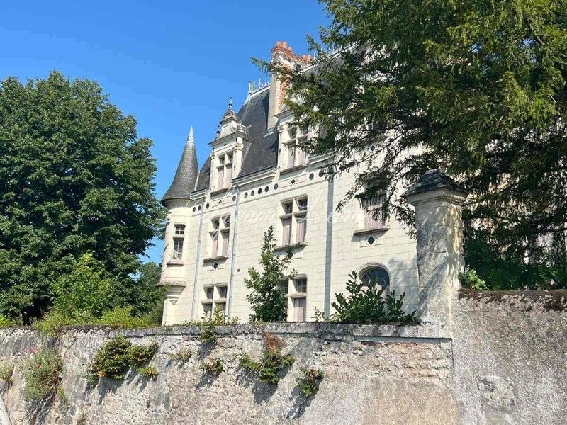 Castle in Centre, Amboise, France 1 - 16825448
