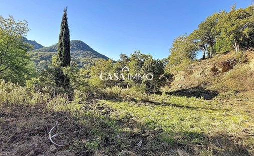 Terreno a Bagnols-en-Forêt, Provenza-Alpi-Costa Azzurra, Francia 1