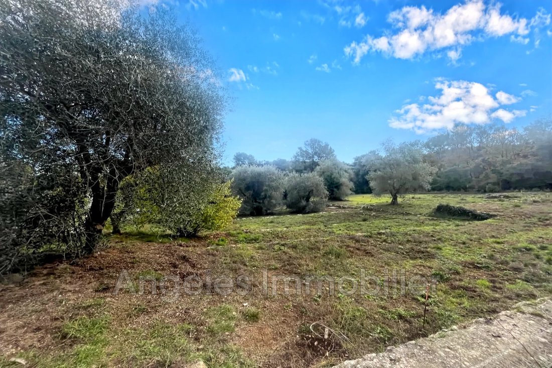 Land in Valbonne, Provence-Alpes-Côte d'Azur, France 1 - 16825527
