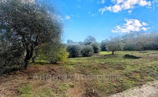 Land in Valbonne, Provence-Alpes-Côte d'Azur, France 1