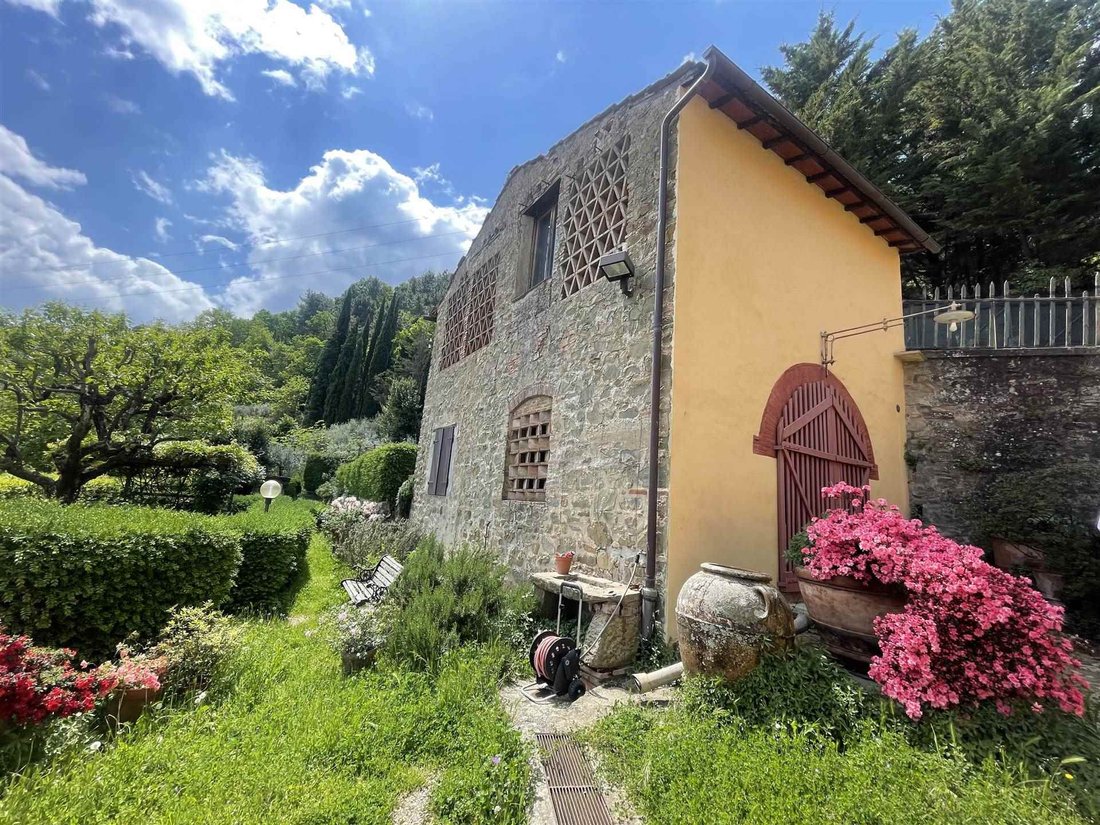 Farm Ranch in Center, Greve in Chianti, Tuscany 3 - 16827040
