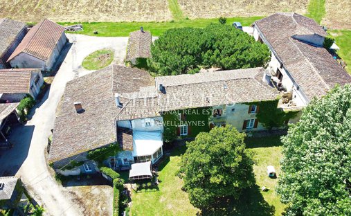 5 Min From Sainte Foy La Grande: Historic Castle Of 600m², Its Vineyard Of 85ha, Gîtes, Stable And 3