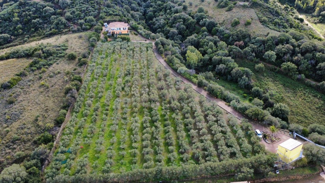Villa in Torpe, Sardinia, Italy 4 - 16827228