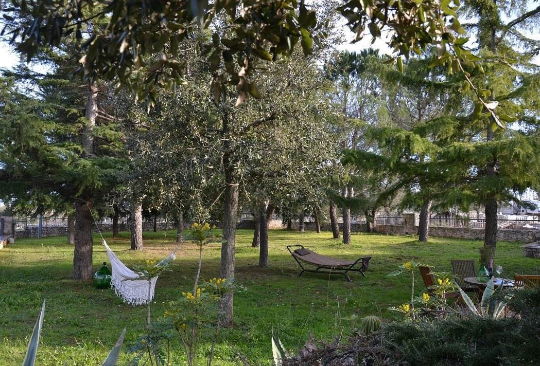 Villa in Locorotondo, Apulia, Italy 4 - 16827036