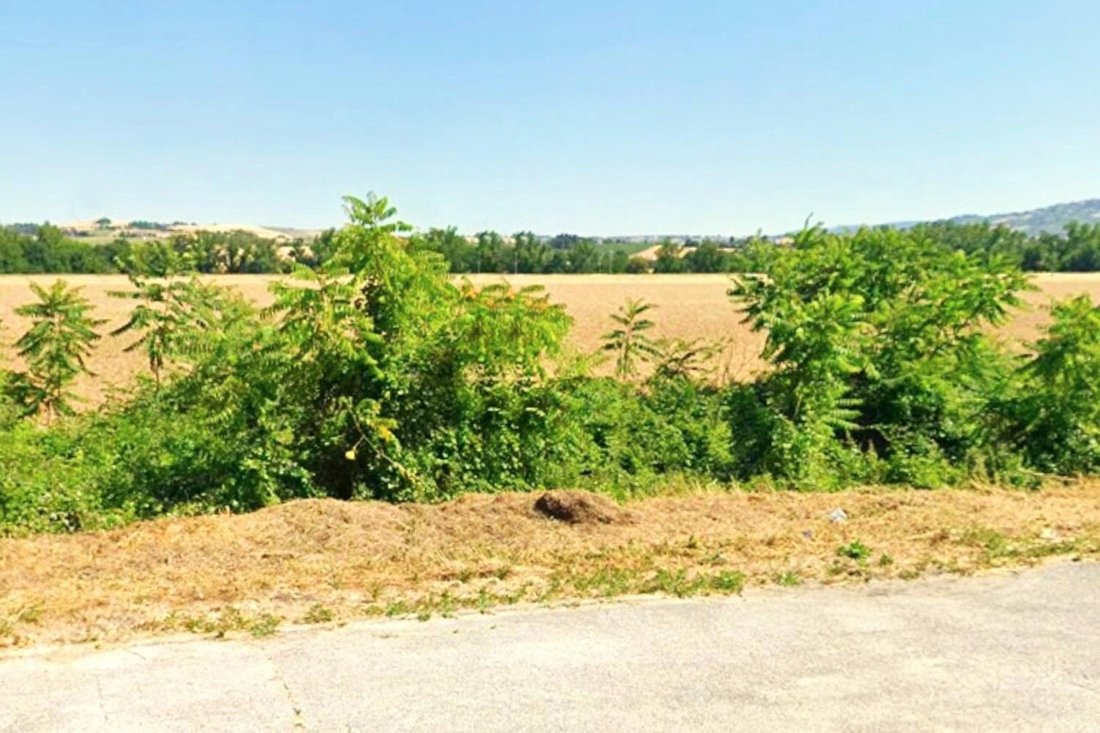 Land in Monte Roberto, Marche, Italy 3 - 16827242