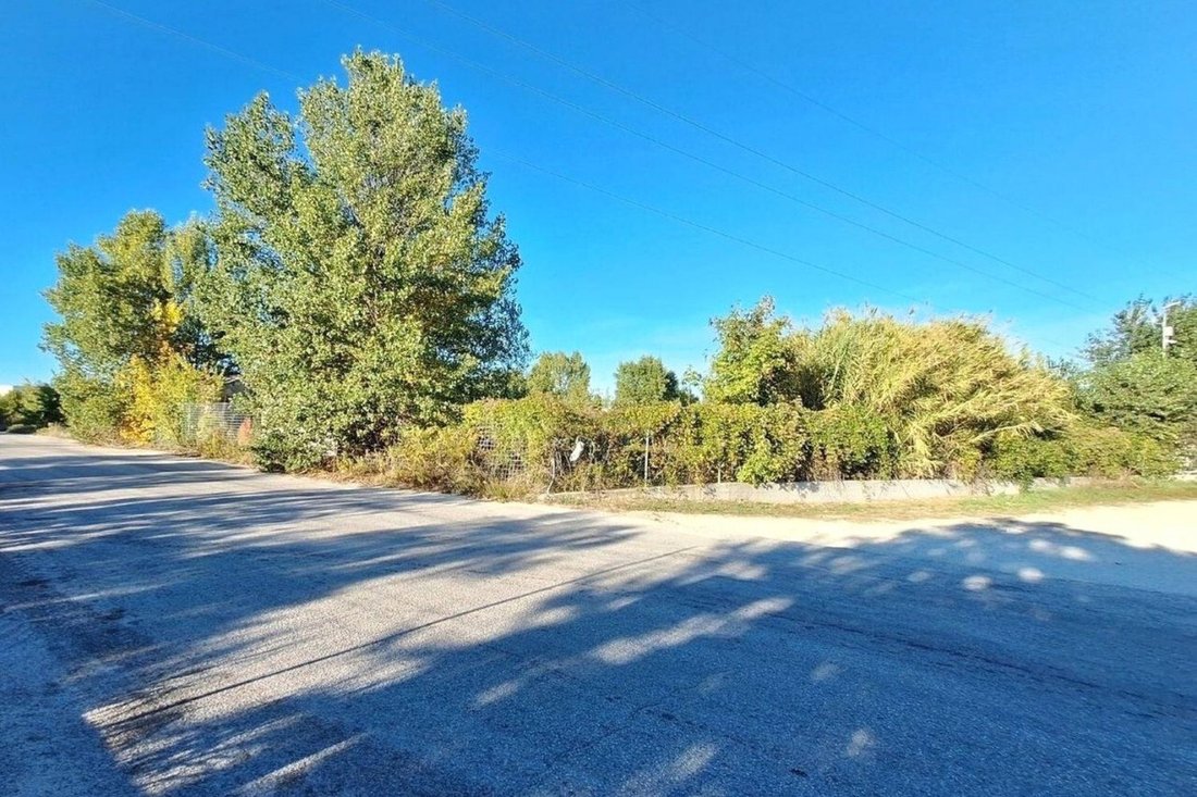 Land in Monte Roberto, Marche, Italy 2 - 16827244