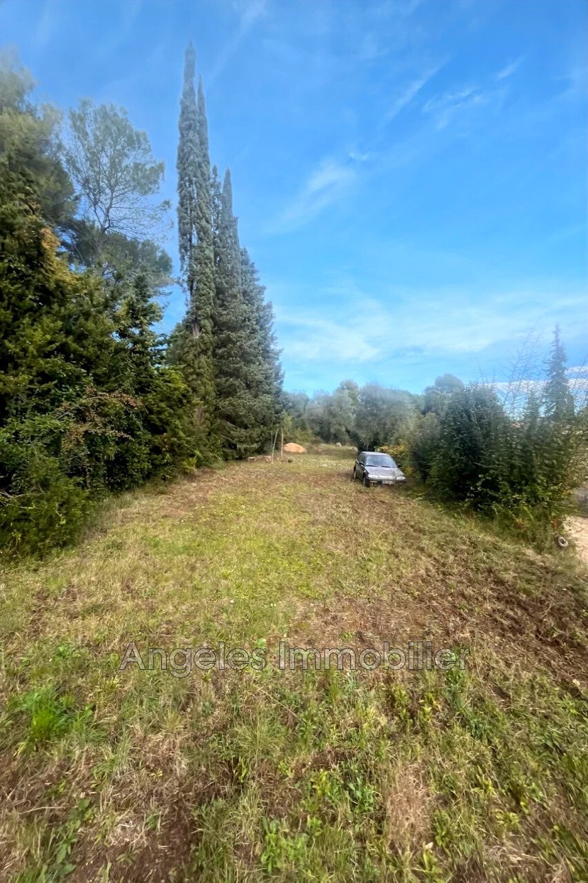Land in Valbonne, Provence-Alpes-Côte d'Azur, France 3 - 16825527