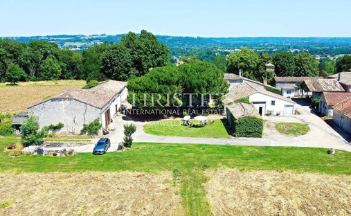 5 Min From Sainte Foy La Grande: Historic Castle Of 600m², Its Vineyard Of 85ha, Gîtes, Stable And 3