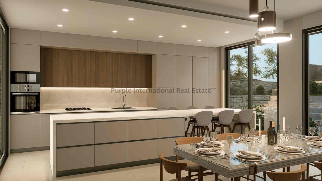 Villa in Kouklia, Paphos, Cyprus 3 - 16825520
