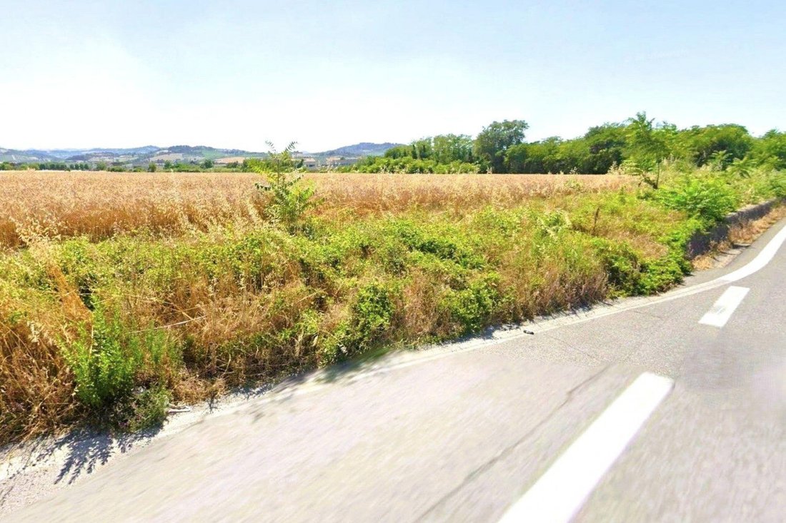 Land in Monte Roberto, Marche, Italy 1 - 16827242