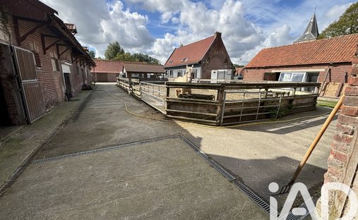 House in Zegerscappel, Hauts-de-France, France 1