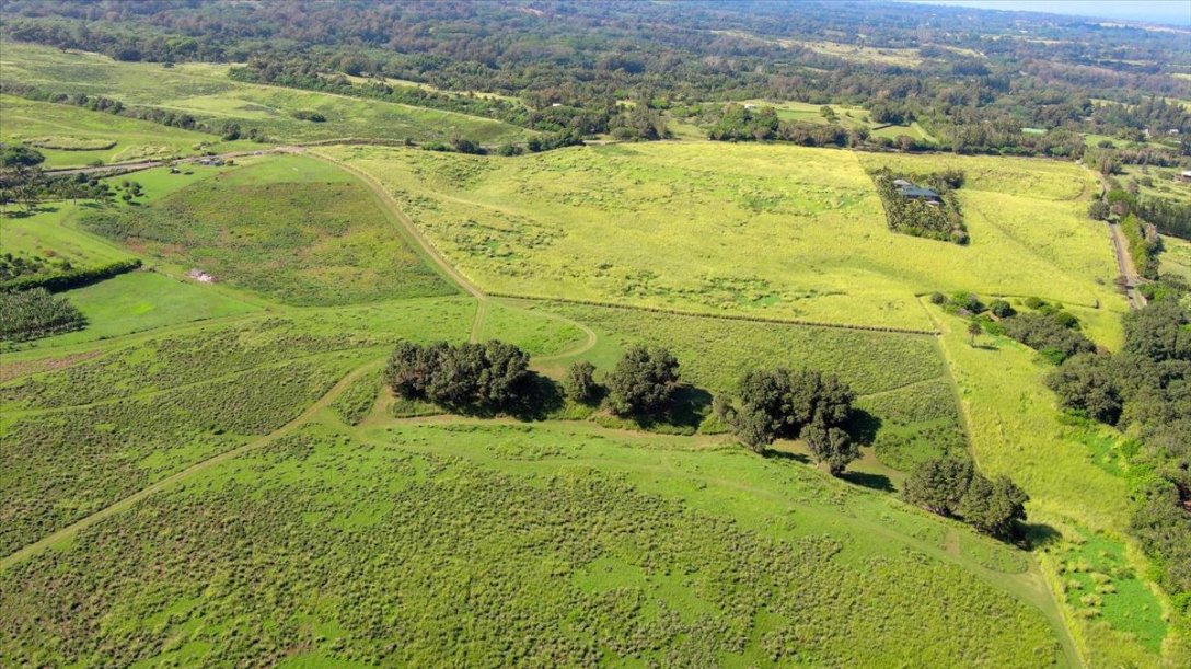 Land in Waimea, Hawaii, United States 4 - 16825988