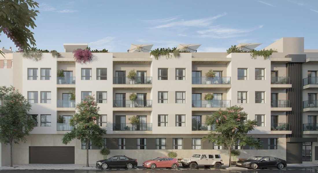 Apartment in Centro, Malaga, Spain 1 - 16825660