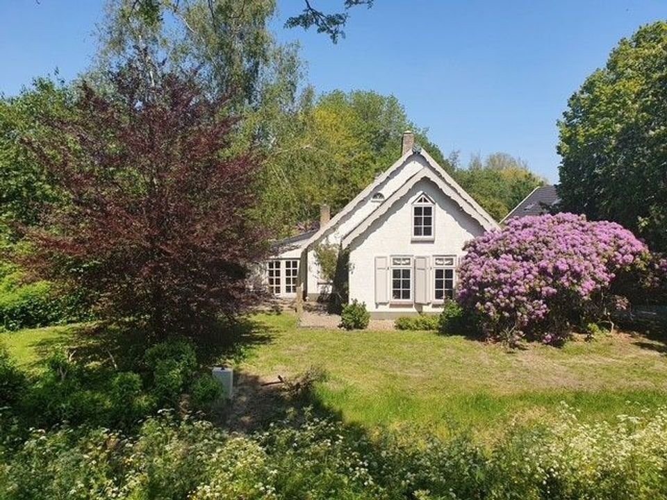 Farm Ranch in Heenvliet, South Holland, Netherlands 3 - 16804127
