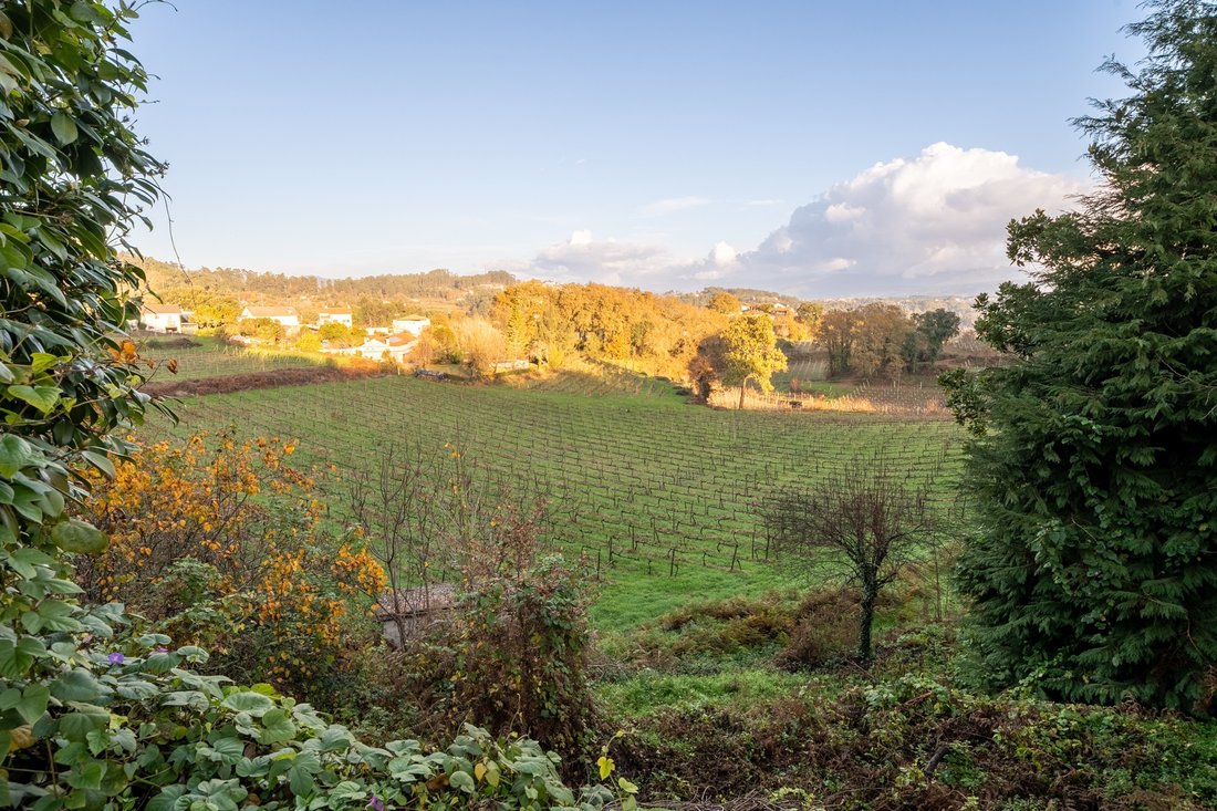 Farm Ranch in Amarante, Portugal, Porto District, Portugal 2 - 16829655