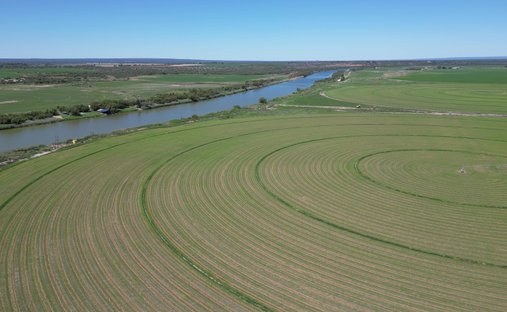 Farm Ranch in Douglas, Northern Cape, South Africa 1