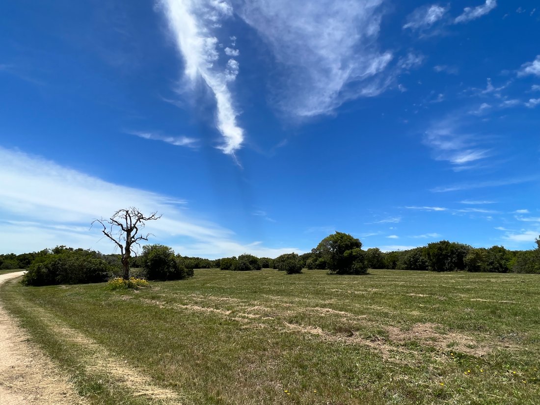 Land in José Ignacio, Maldonado Department, Uruguay 2 - 16831957