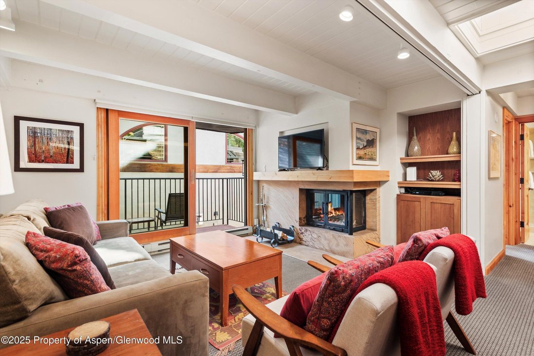 Condo in Aspen, Colorado, United States 1 - 16829815