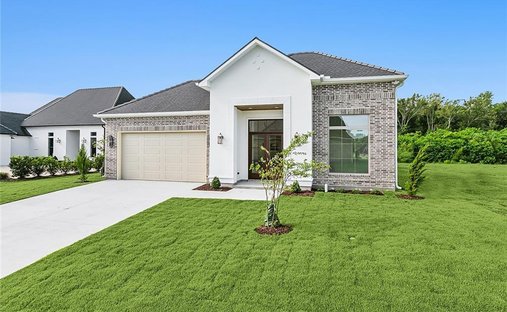 House in Belle Chasse, Louisiana, United States 1
