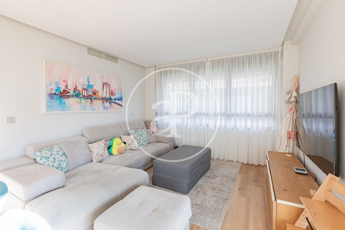 Apartment in Tetuan, Madrid, Spain 5 - 16835067