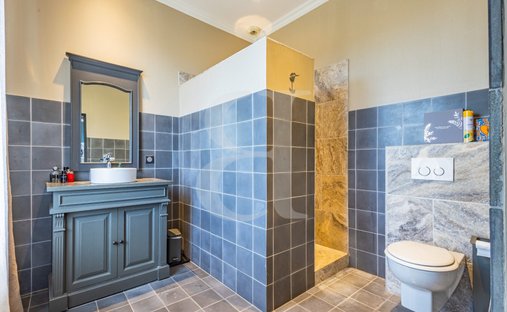 Castle for Sale in Carpentras, Provence-Alpes-Côte d'Azur, France