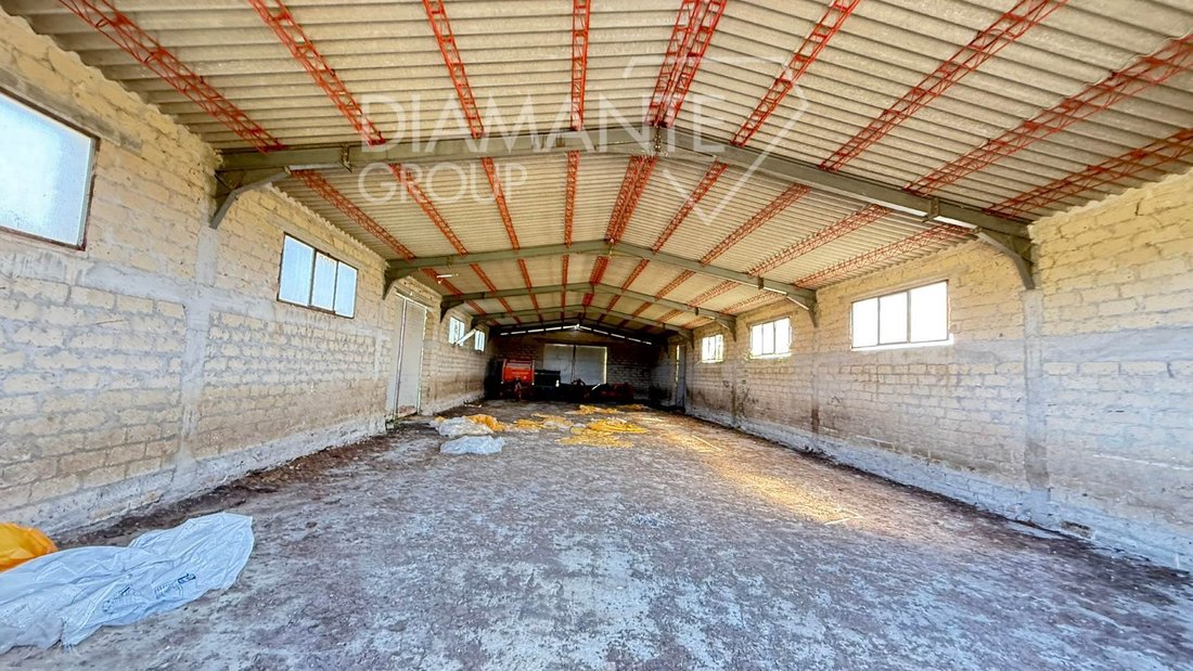 Farm Ranch in Acquapendente, Lazio, Italy 4 - 16837798