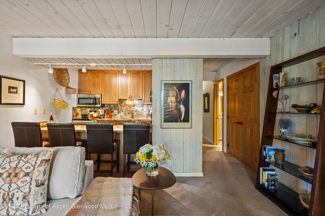 Condo in Aspen, Colorado, United States 5 - 16829831
