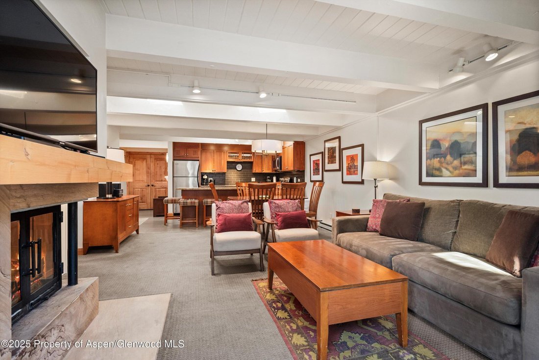Condo in Aspen, Colorado, United States 4 - 16829815