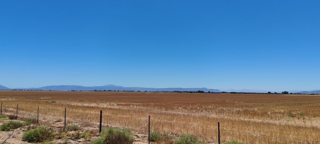 Farm Ranch in Hopefield, Western Cape, South Africa 4 - 16832107