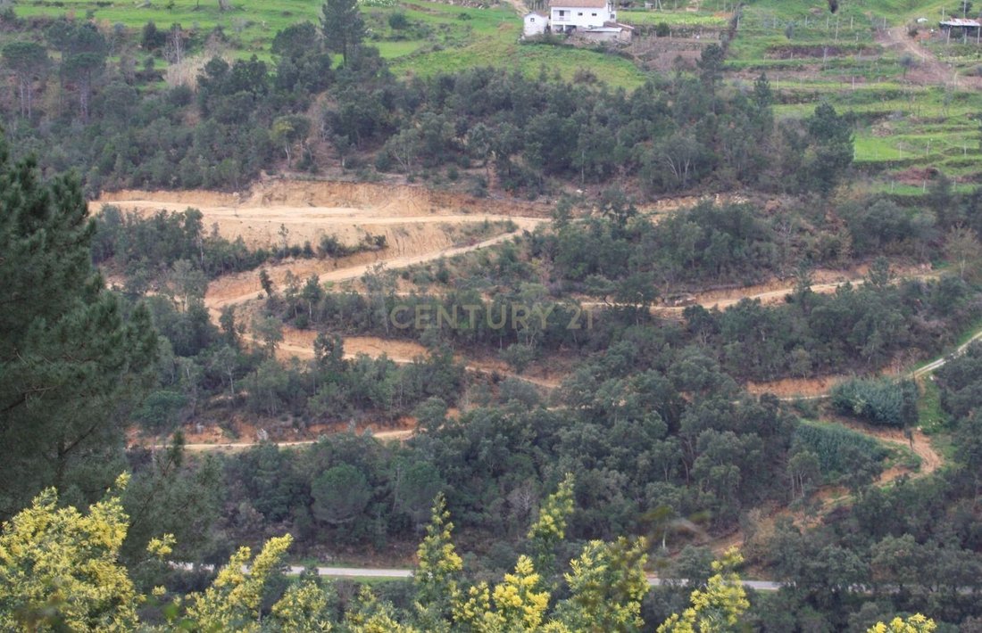 Land in Penhalonga e Pacos de Gaiolo, Porto District, Portugal 4 - 16835185