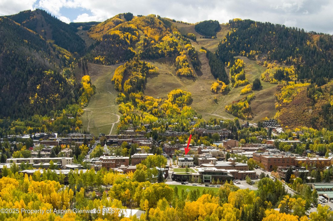 Condo in Aspen, Colorado, United States 1 - 16829808