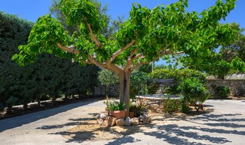 Villa in Pylos and Nestor, Peloponnese, Western Greece and the Ionian, Griechenland 2