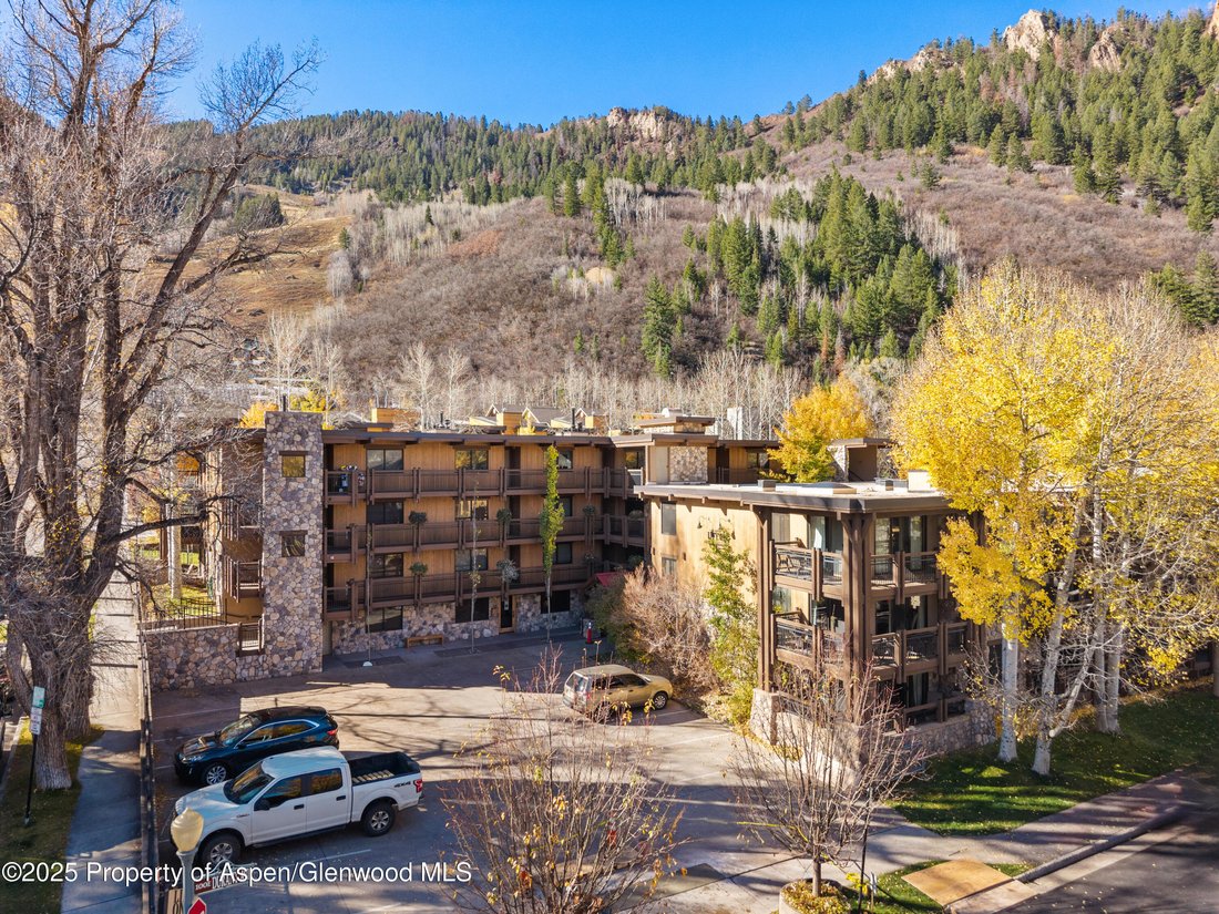 Condo in Aspen, Colorado, United States 1 - 16829831