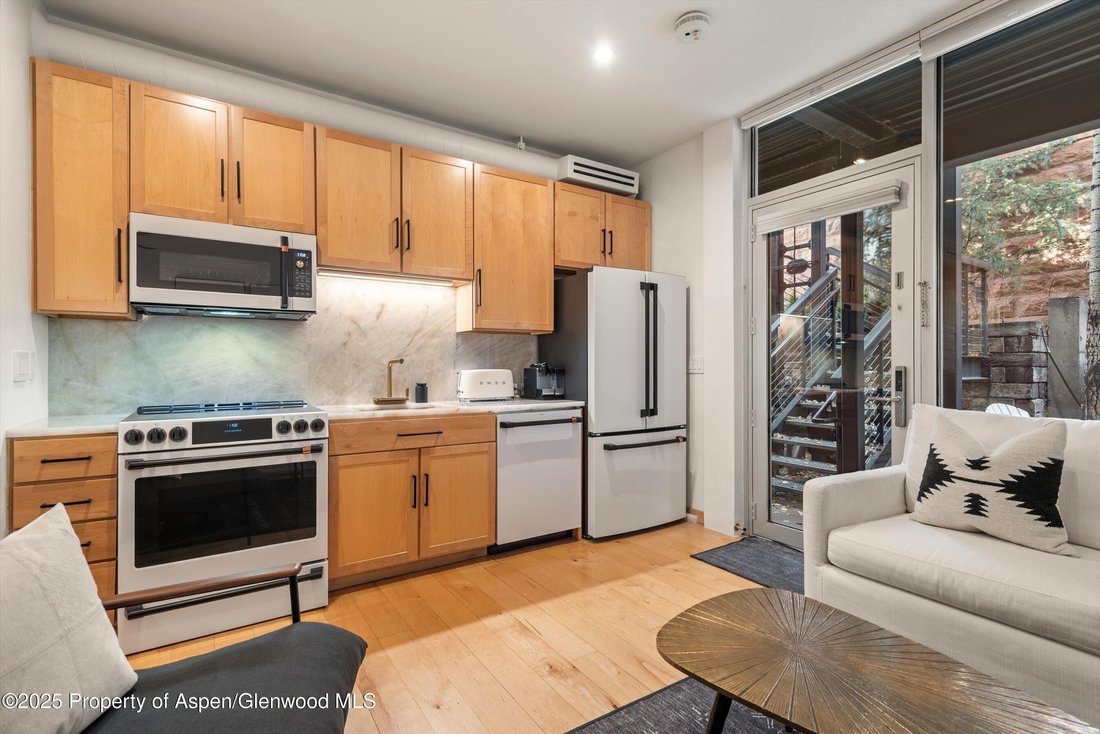 Condo in Aspen, Colorado, United States 4 - 16829808