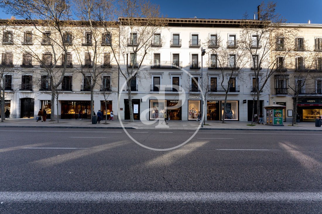 Wohnung in Salamanca, Madrid, Spanien 3 - 16835000