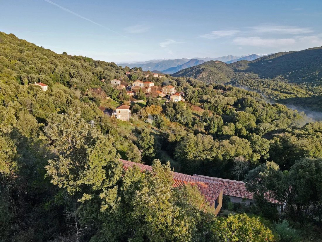 House in Pietrosella, Corsica, France 1 - 16361978