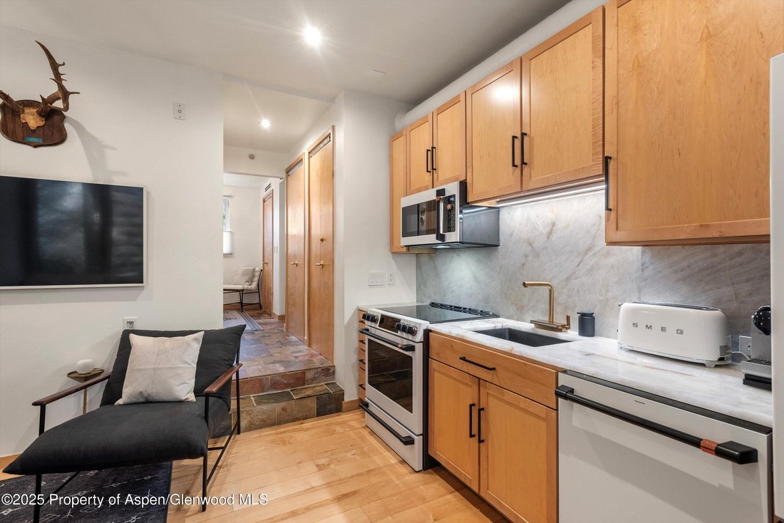 Condo in Aspen, Colorado, United States 5 - 16829808