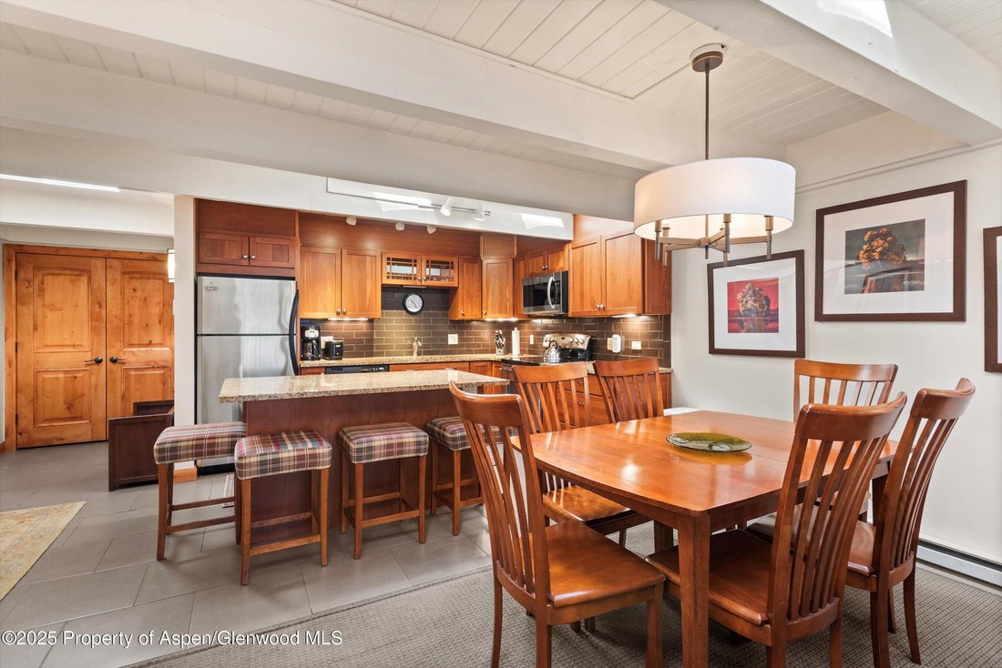 Condo in Aspen, Colorado, United States 3 - 16829815