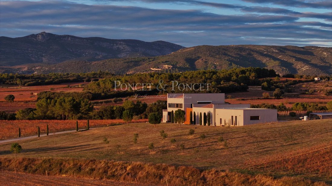 Farm Ranch in Montpeyroux, Occitania, France 2 - 16739915