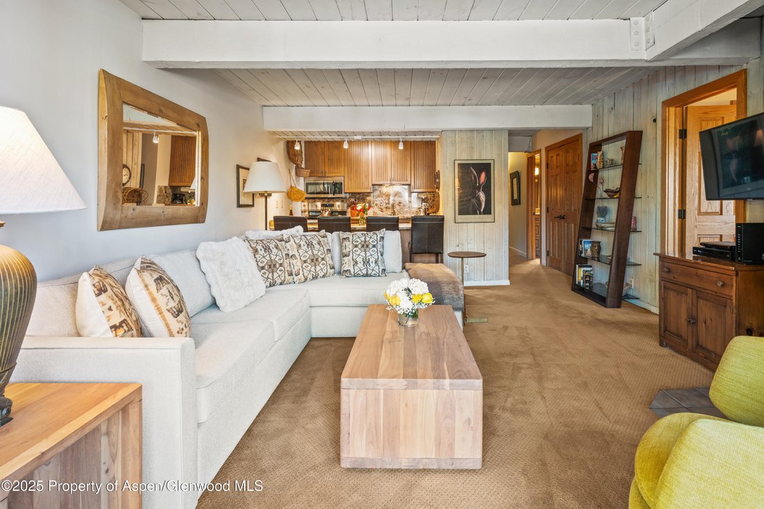 Condo in Aspen, Colorado, United States 3 - 16829831