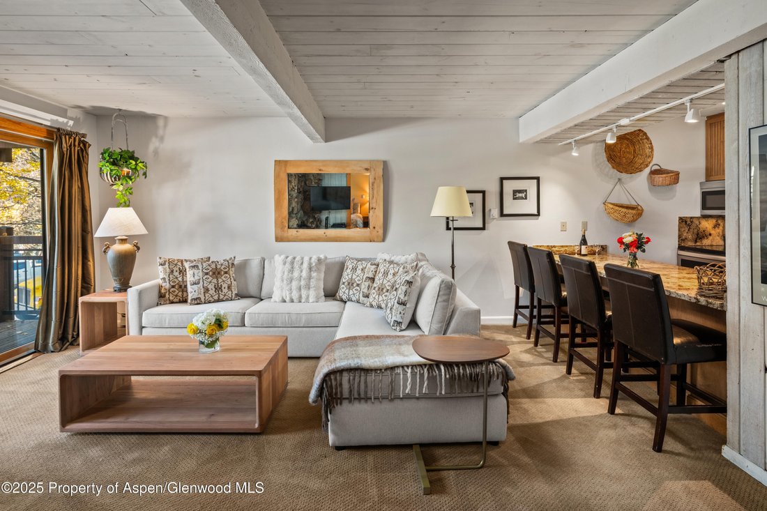 Condo in Aspen, Colorado, United States 2 - 16829831