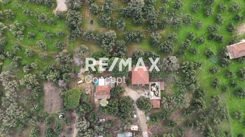Land in Mpoxalis, Peloponnese, Western Greece and the Ionian, Greece 5 - 16829848