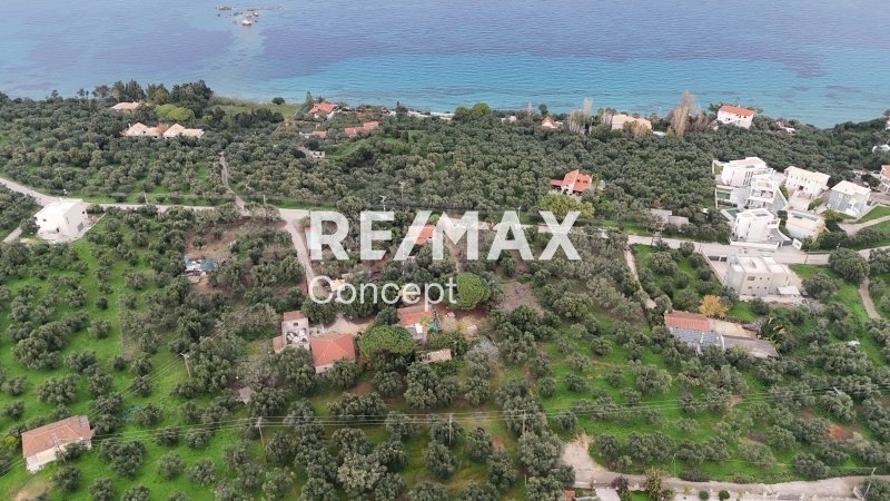 Land in Mpoxalis, Peloponnese, Western Greece and the Ionian, Greece 4 - 16829848