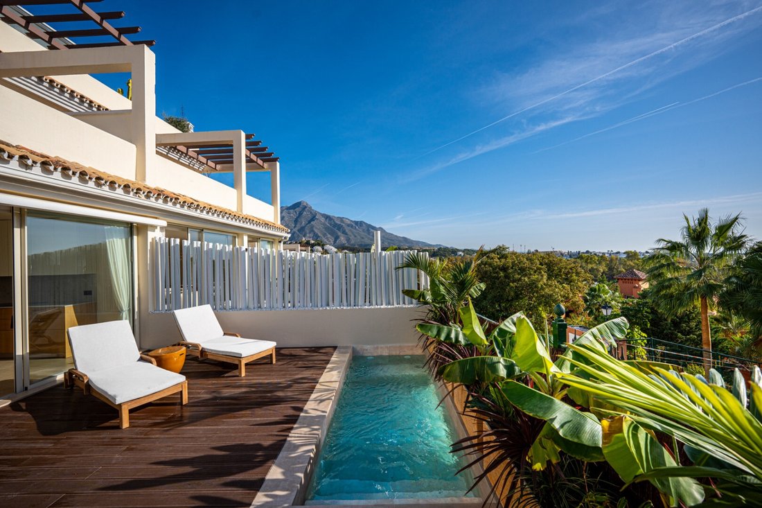 Apartment in Puerto Banus, Marbella, Spain 3 - 16834448